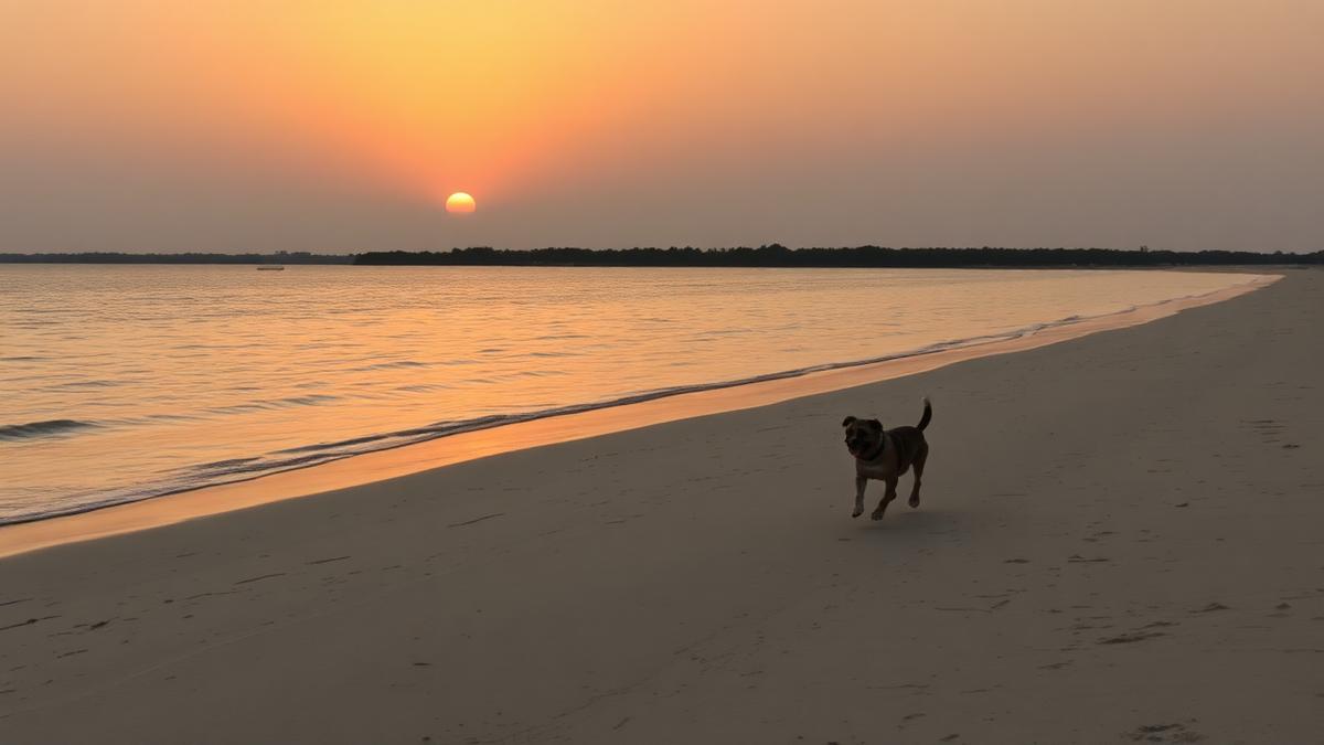 Dog-Friendly Beaches Near Me in the UAE: Jebel Ali, Flamingo Beach RAK and Umm Al Quwain